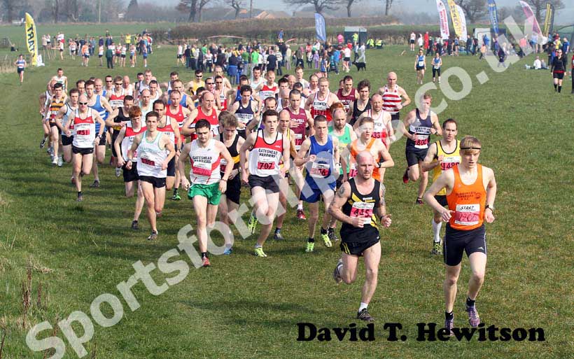 Red start North East Harrier League, Prudhoe, Northumberland.
